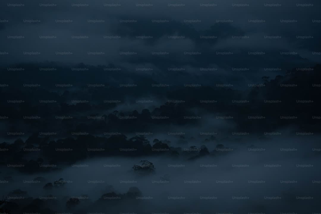 玫瑰痤疮形成的原因